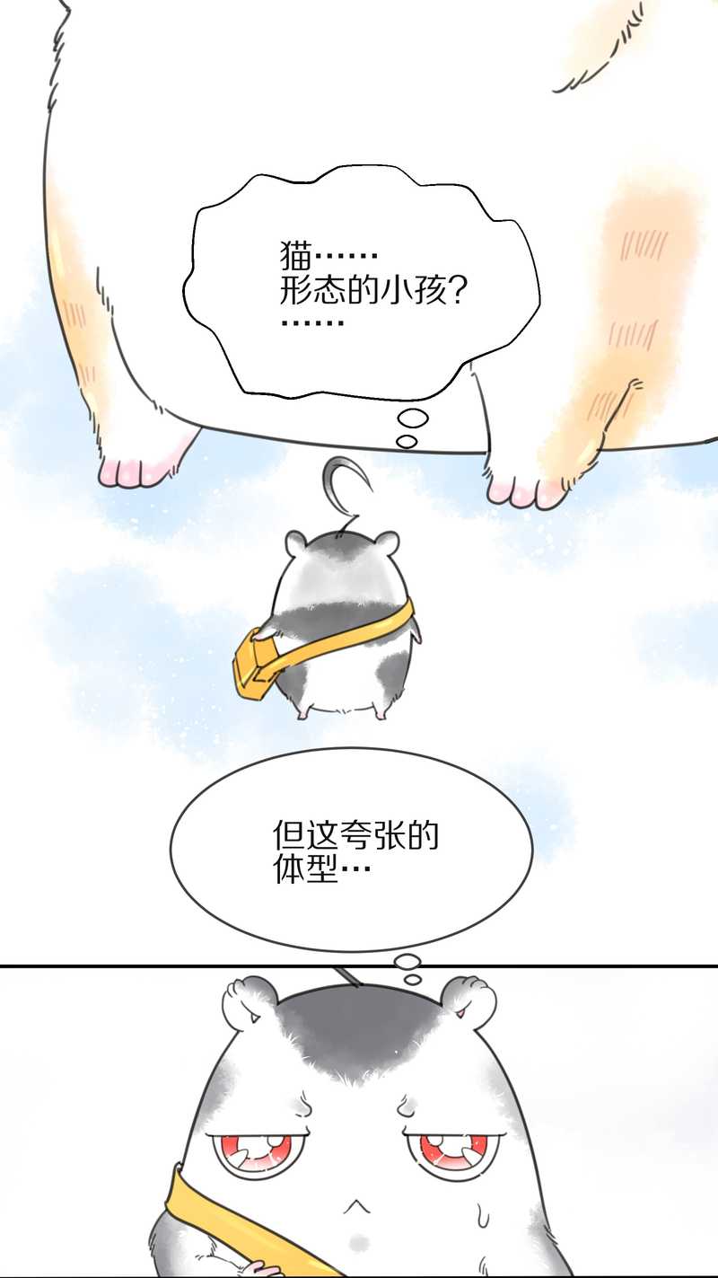 毛球星传说 第3集(1/2)-第3话