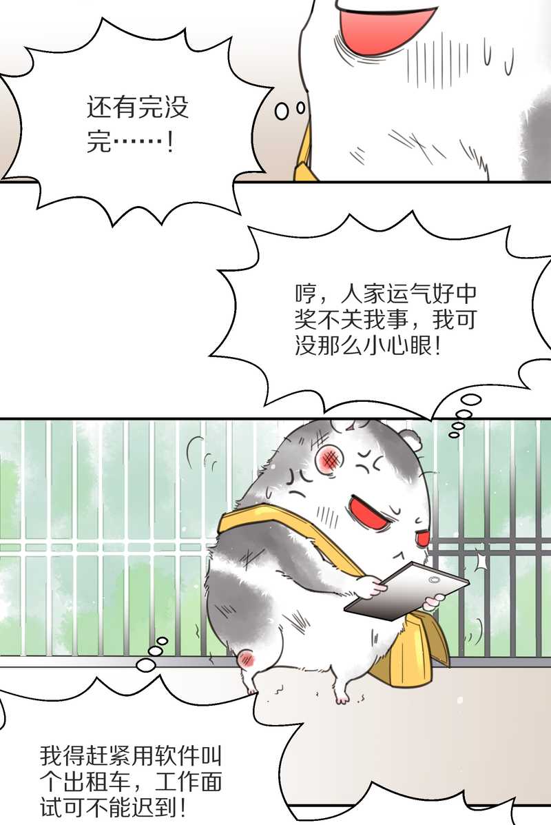 毛球星传说 第3集(1/2)-第3话