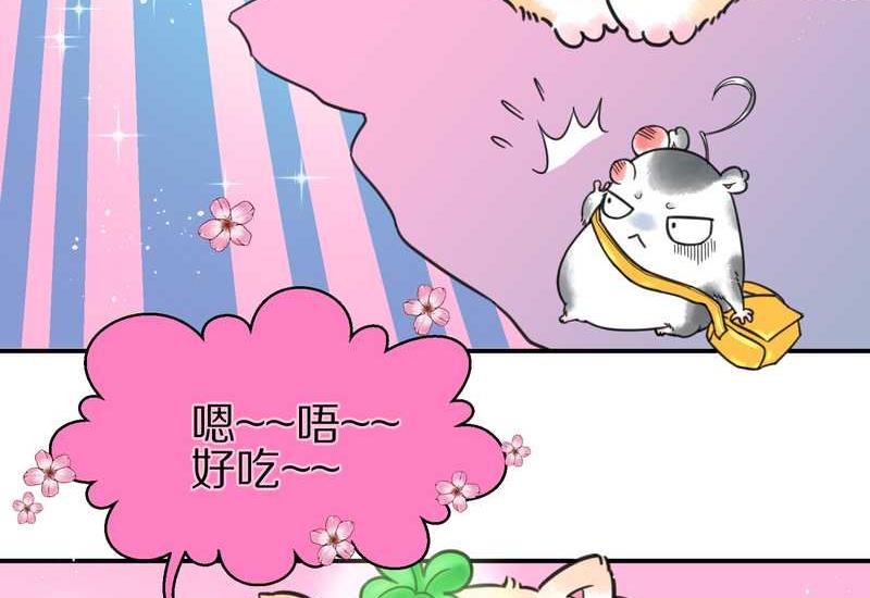 毛球星传说 第3集(1/2)-第3话