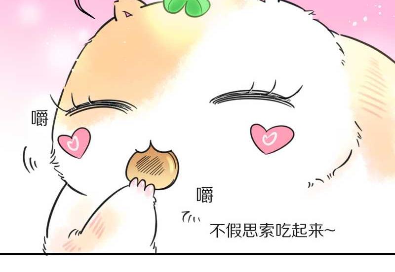 毛球星传说 第3集(1/2)-第3话