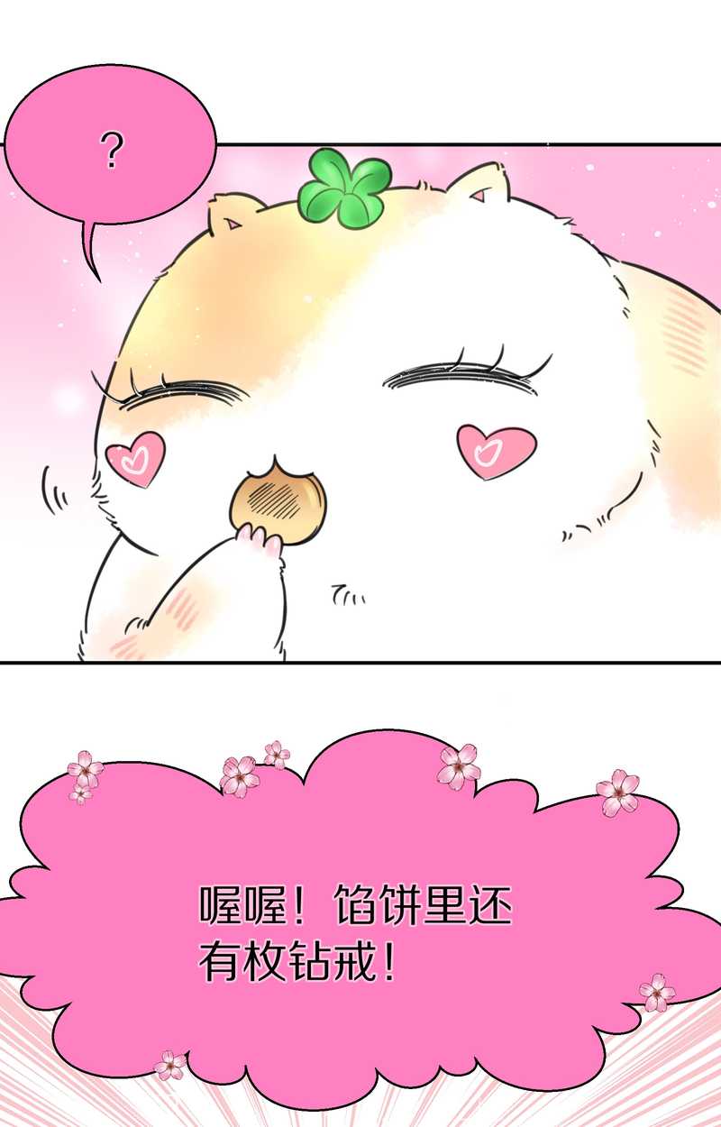 毛球星传说 第3集(1/2)-第3话