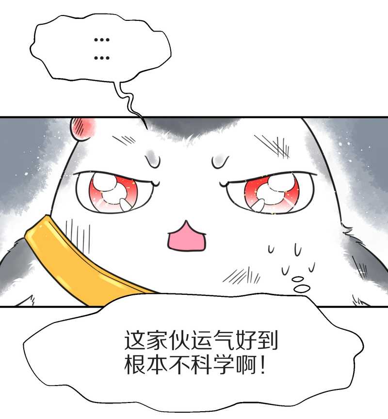 毛球星传说 第3集(1/2)-第3话