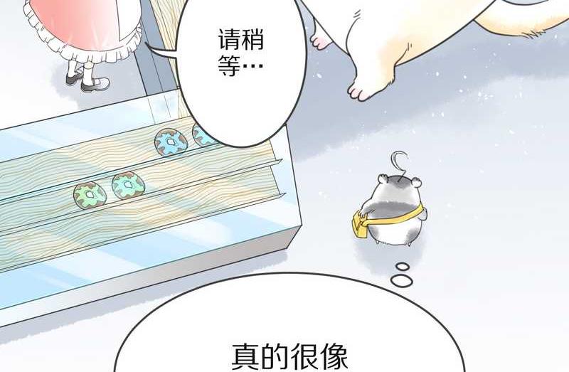 毛球星傳說 - 毛球星傳說 第3集(1/2) - 7