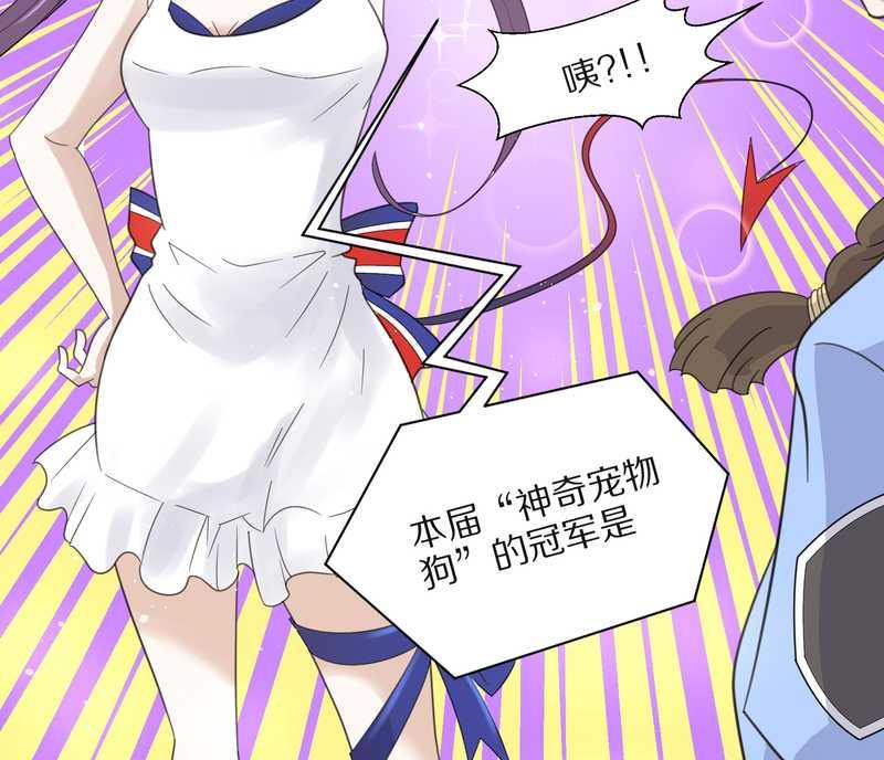 毛球星传说 第21集(1/3)-第21话