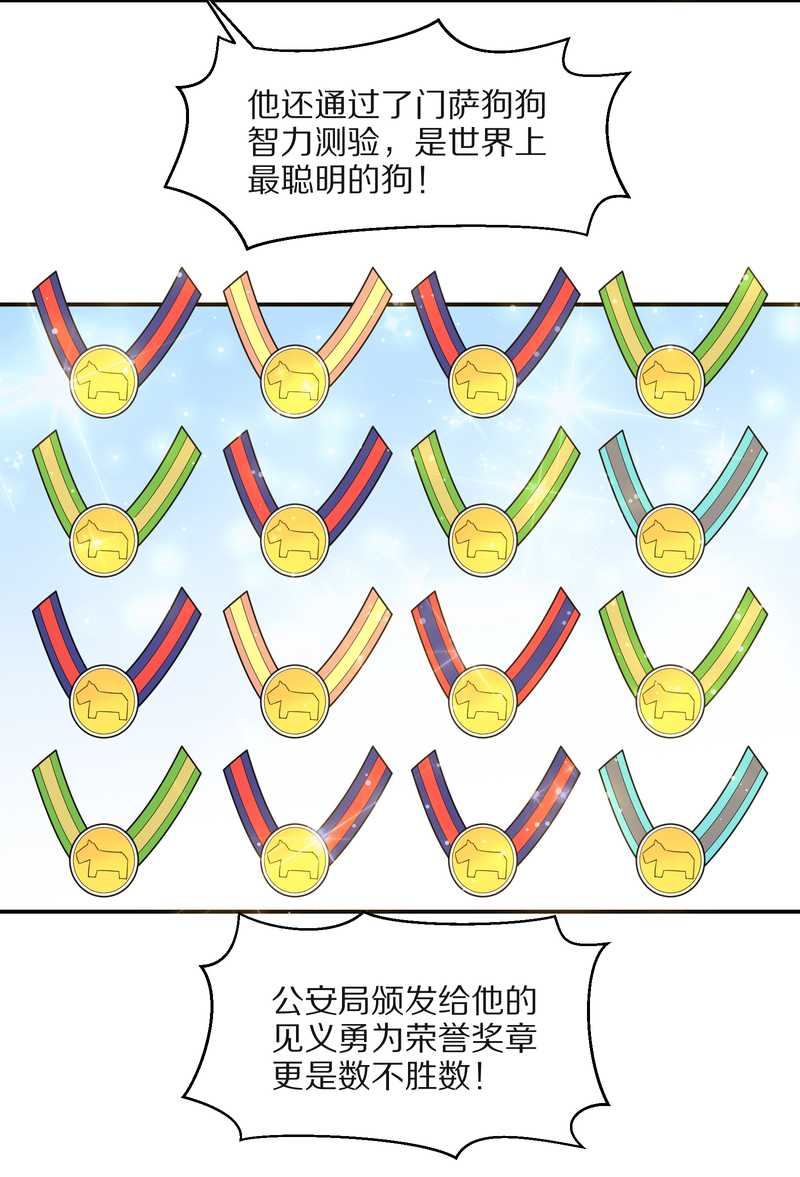 毛球星传说 第21集(1/3)-第21话