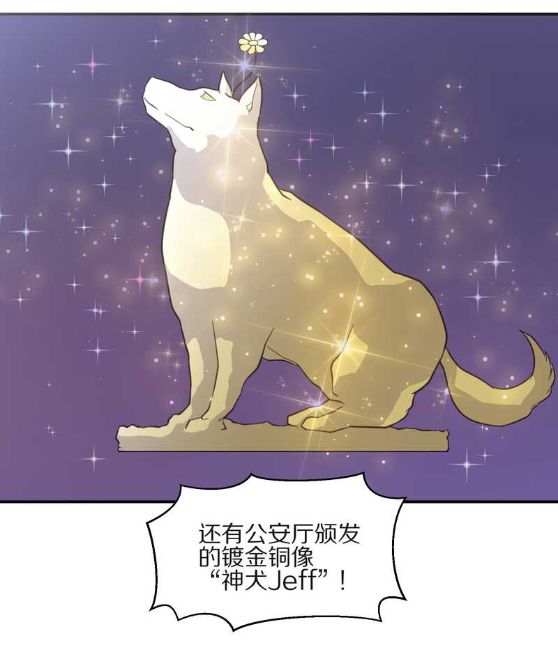 毛球星传说 第21集(1/3)-第21话