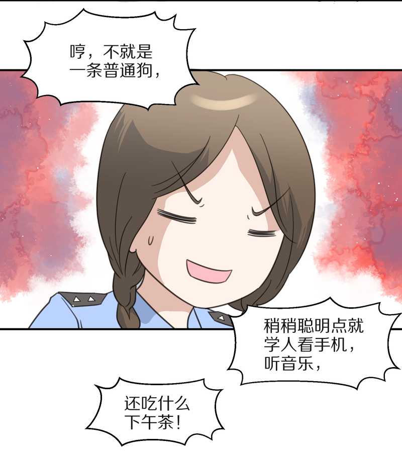 毛球星传说 第21集(1/3)-第21话