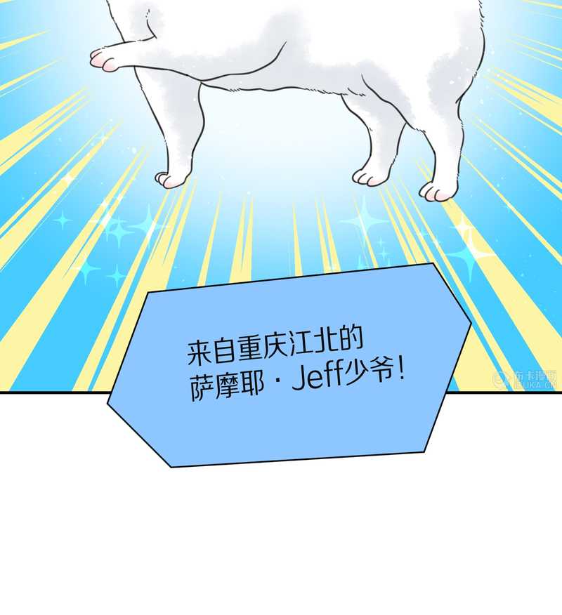 毛球星传说 第21集(1/3)-第21话