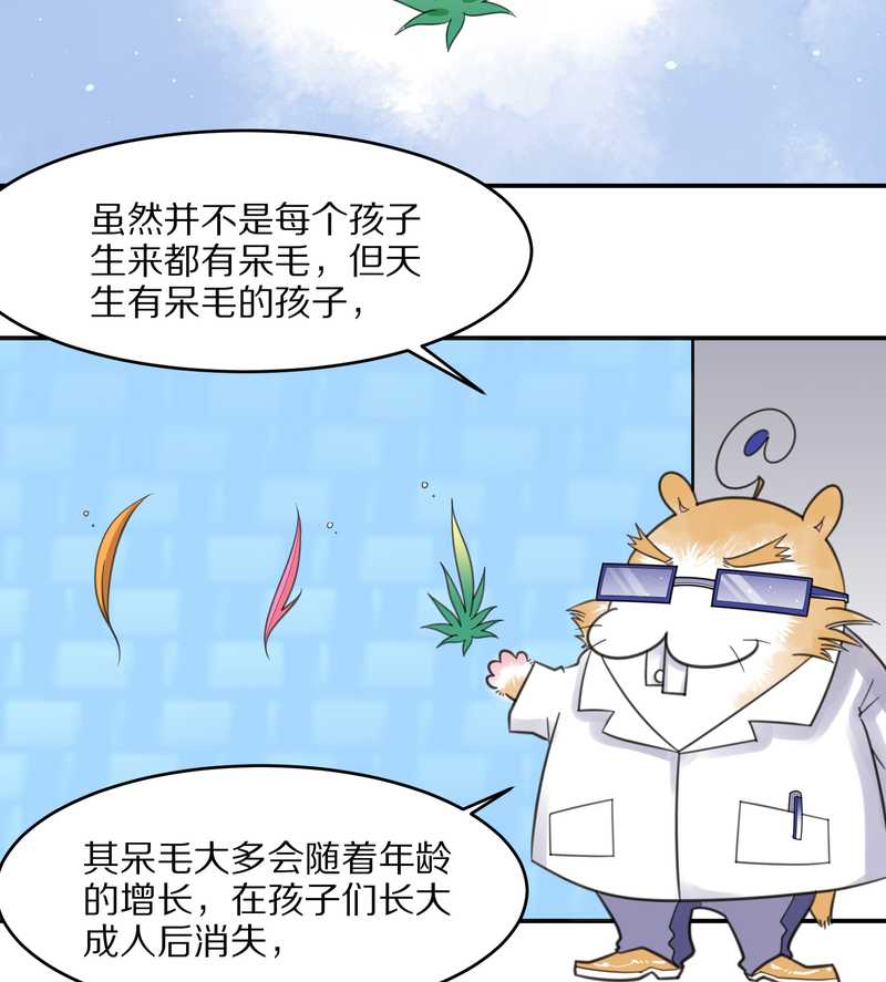 毛球星传说 第23集(1/2)-第23话