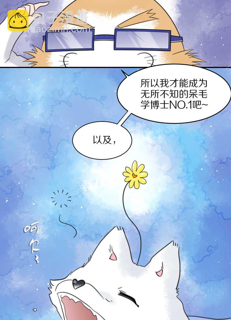 毛球星传说 第23集(1/2)-第23话