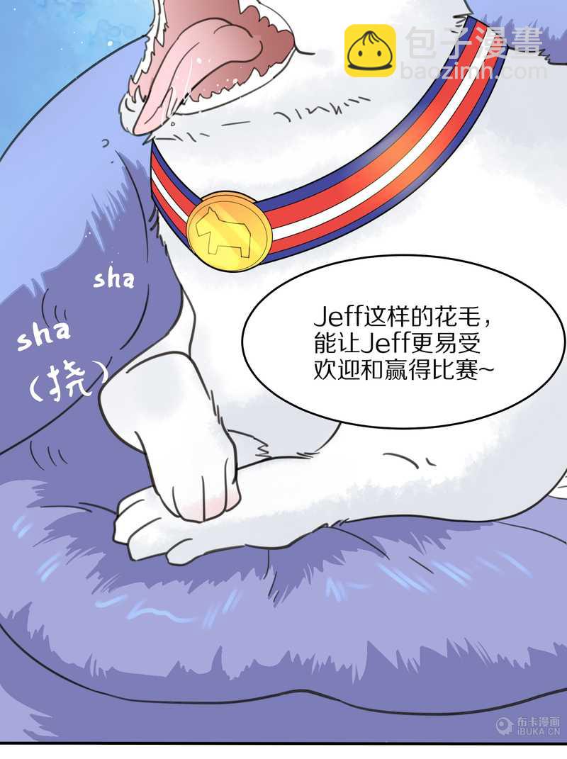 毛球星传说 第23集(1/2)-第23话