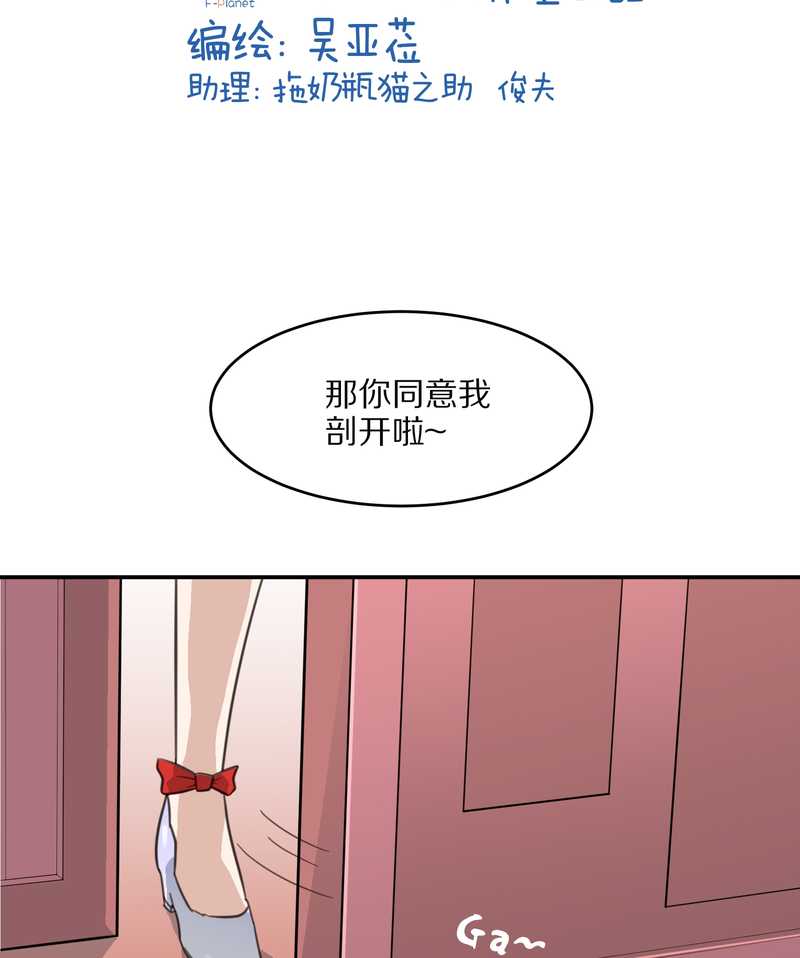 毛球星传说 第23集(1/2)-第23话