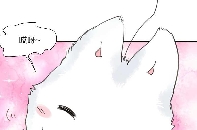 毛球星传说 第23集(1/2)-第23话