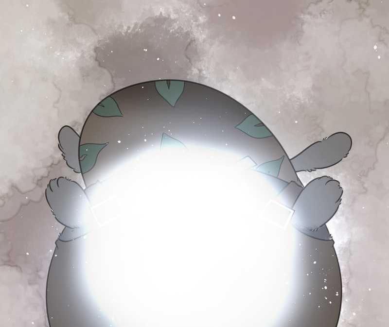 毛球星传说 第23集(1/2)-第23话