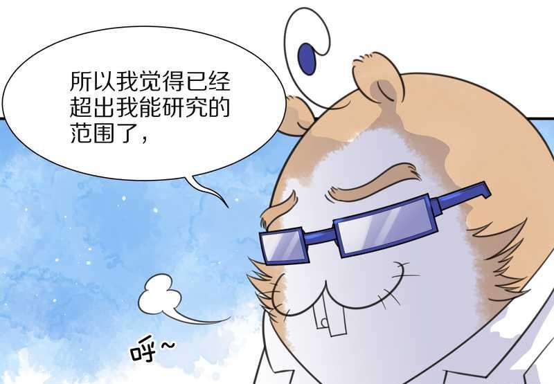 毛球星传说 第23集(1/2)-第23话