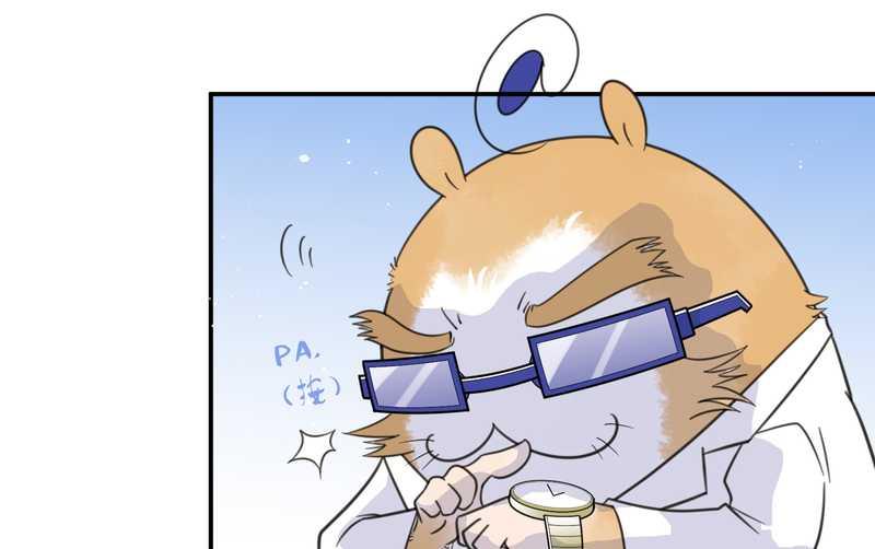 毛球星传说 第23集(1/2)-第23话