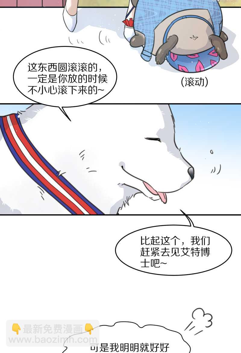 毛球星传说 第23集(1/2)-第23话