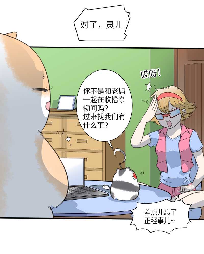 毛球星传说 第25集(1/2)-第25话