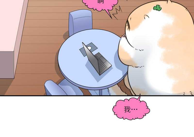 毛球星传说 第25集(1/2)-第25话