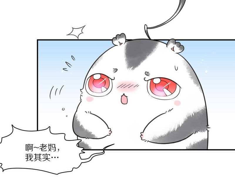 毛球星传说 第25集(1/2)-第25话