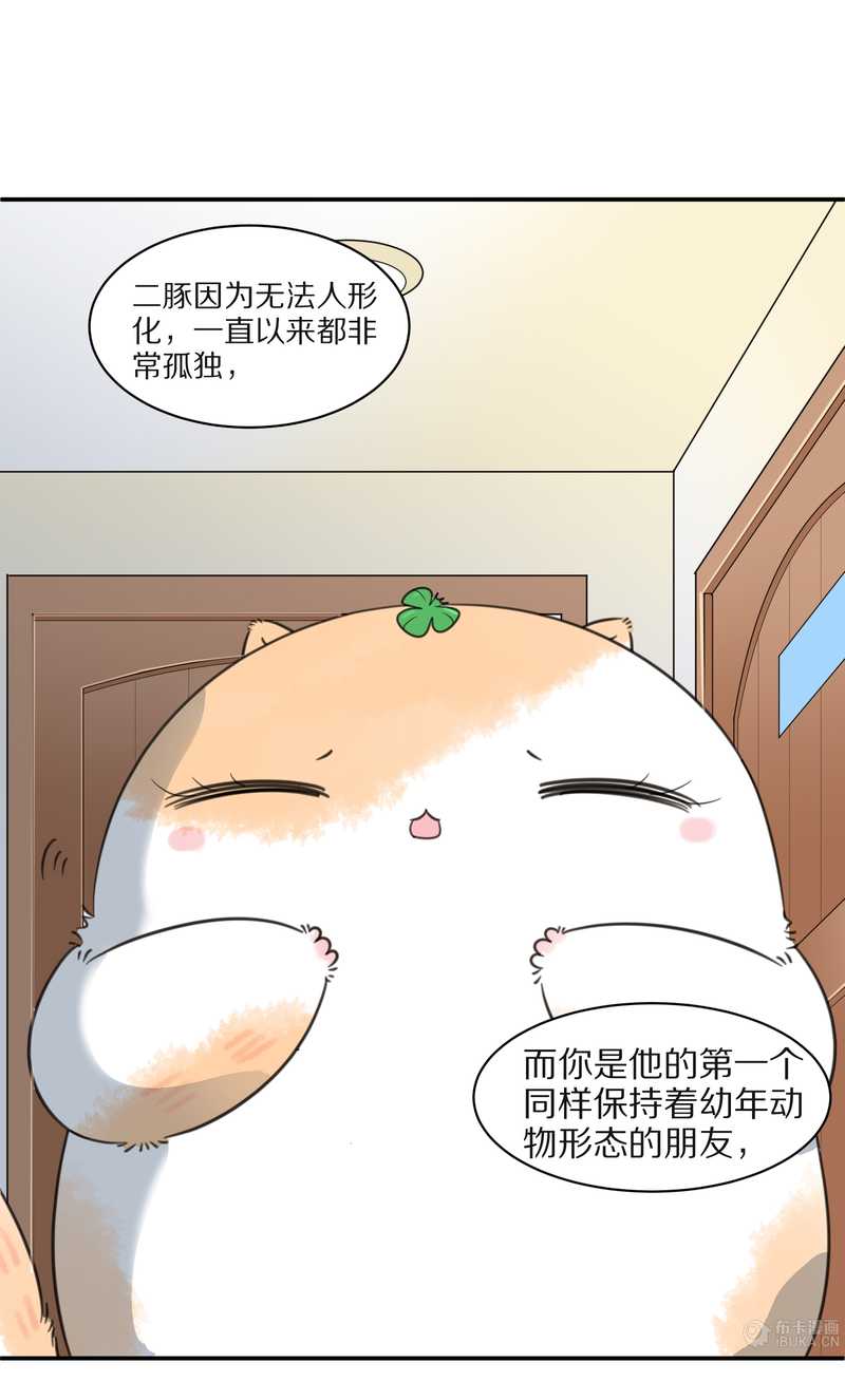 毛球星傳說 - 毛球星傳說 第25集(1/2) - 3