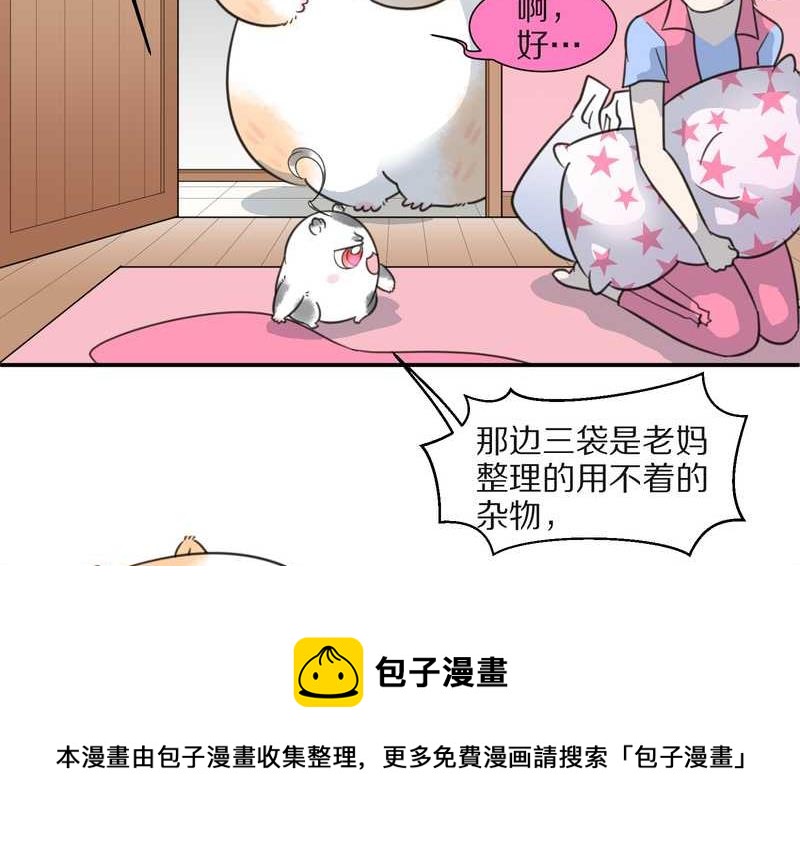 毛球星传说 第25集(1/2)-第25话