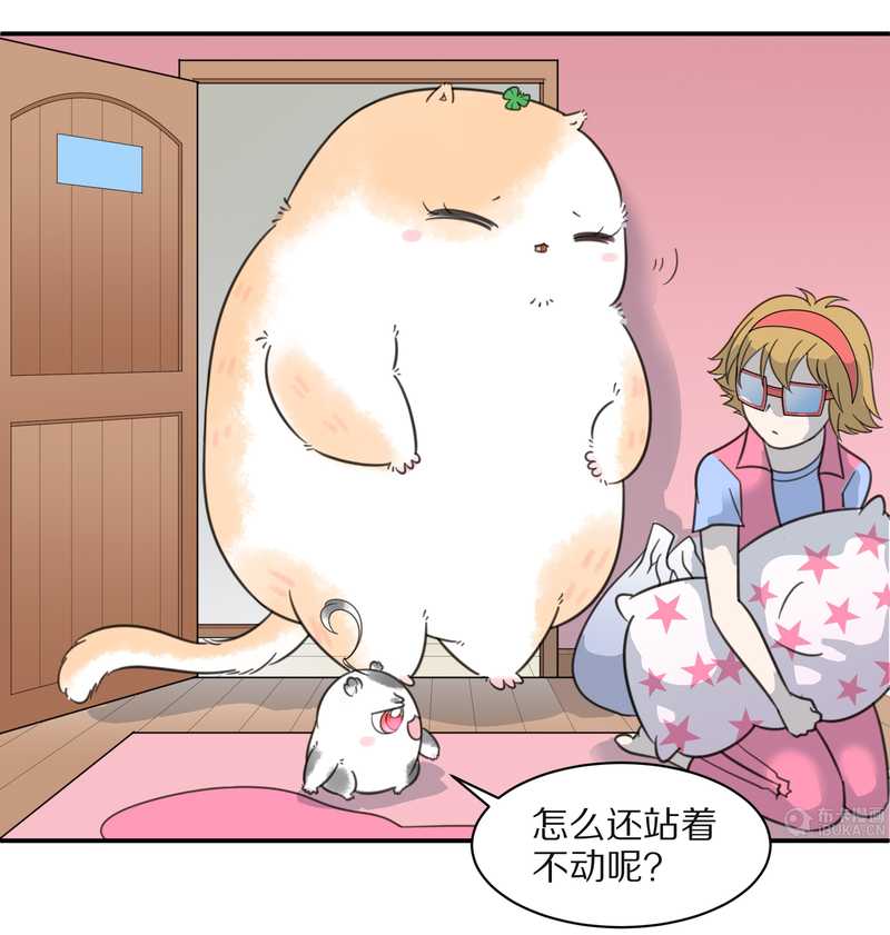 毛球星传说 第25集(1/2)-第25话