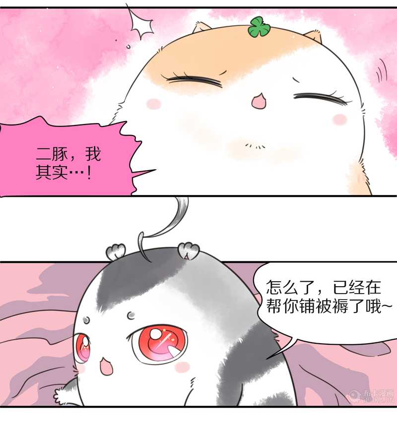 毛球星传说 第25集(1/2)-第25话