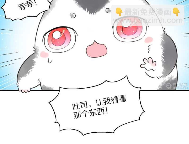 毛球星传说 第25集(1/2)-第25话