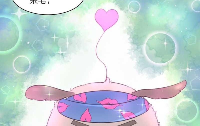 毛球星传说 第25集(1/2)-第25话