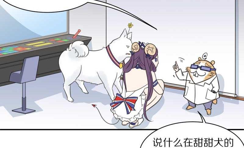 毛球星传说 第25集(1/2)-第25话