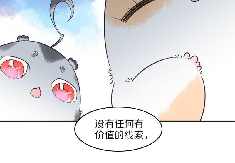 毛球星传说 第25集(1/2)-第25话