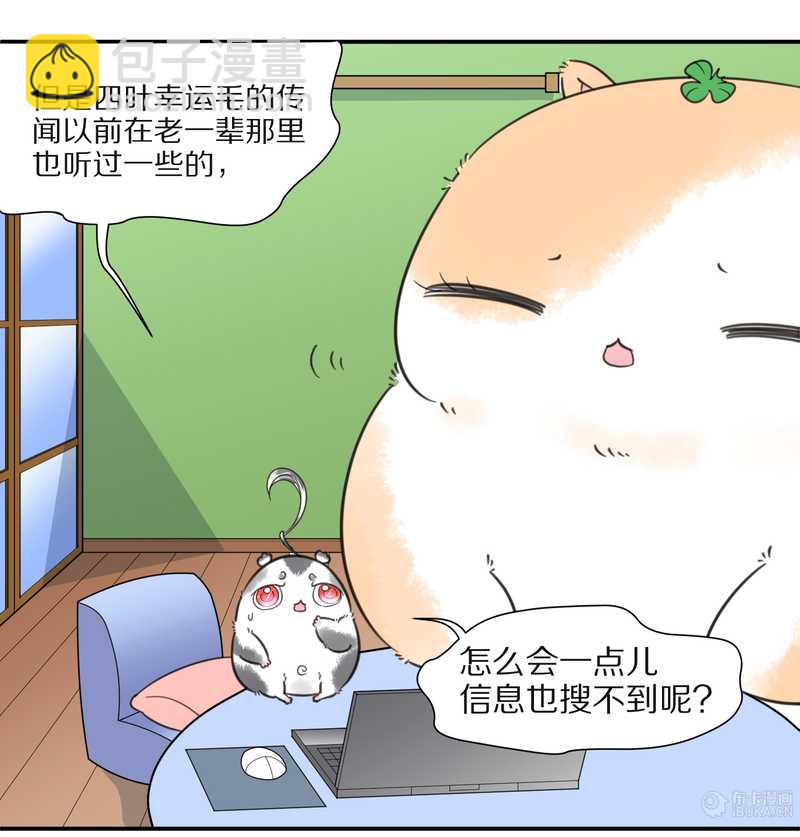 毛球星传说 第25集(1/2)-第25话