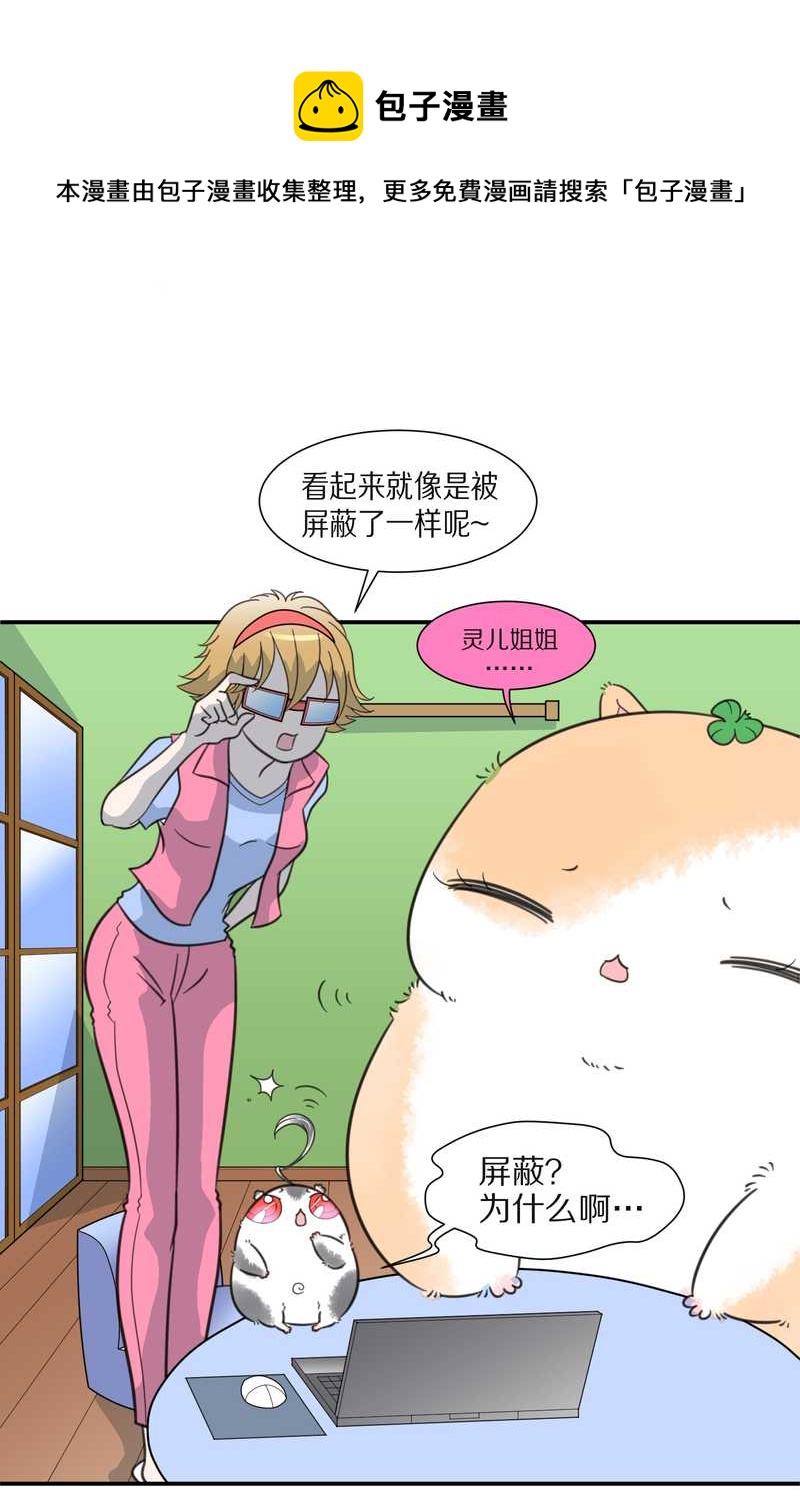 毛球星传说 第25集(1/2)-第25话