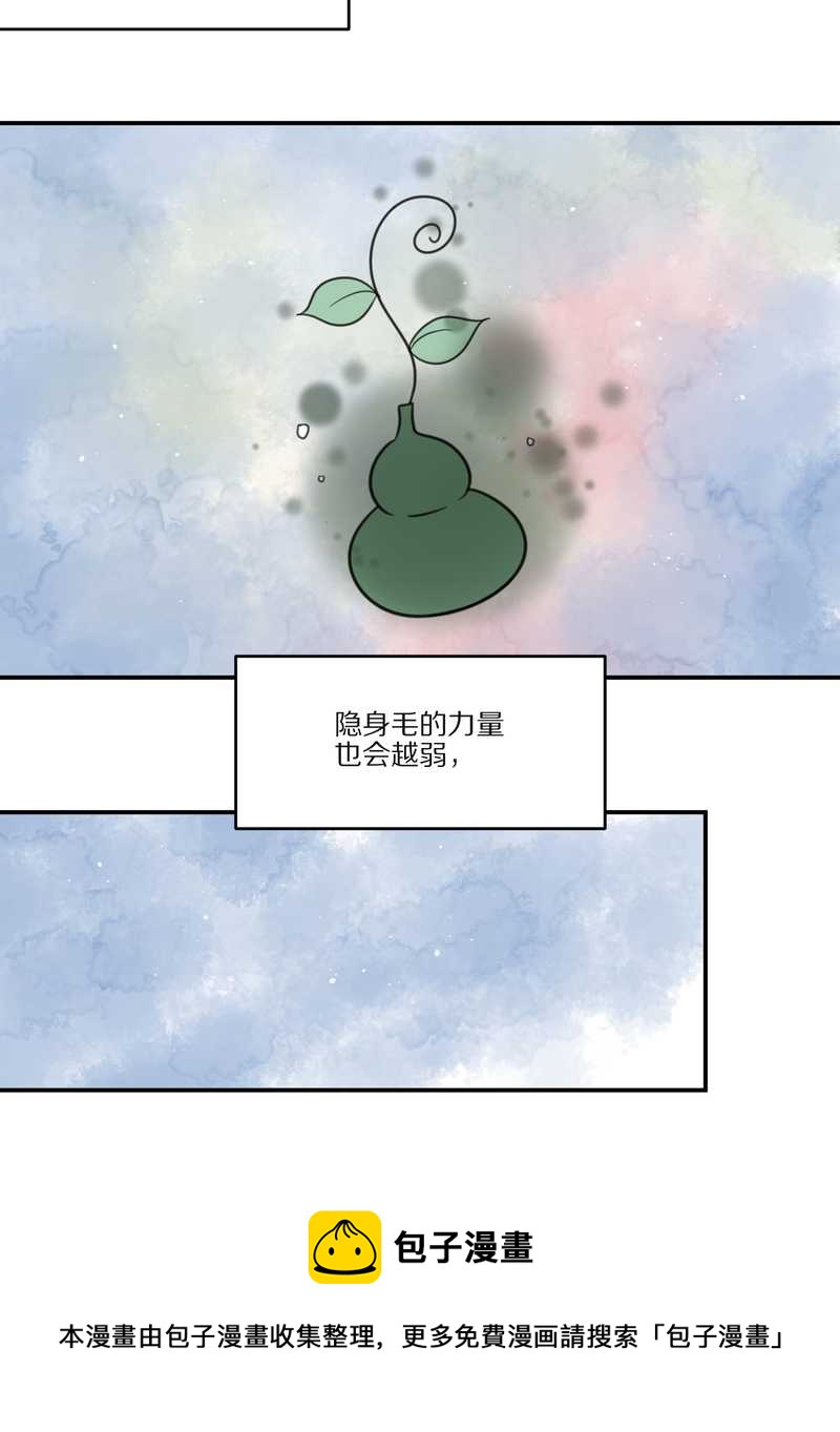 毛球星传说 第27集(1/3)-第27话