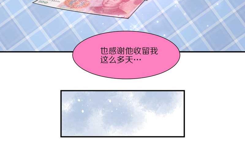 毛球星传说 第27集(1/3)-第27话