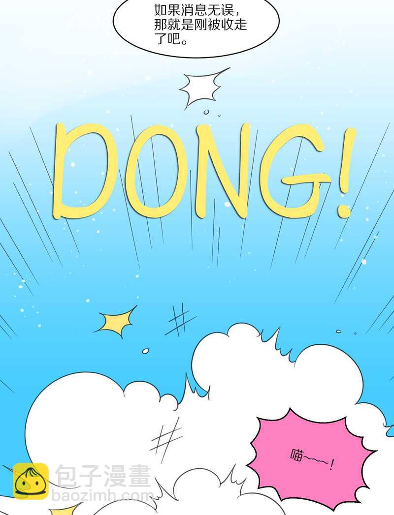 毛球星传说 第27集(1/3)-第27话