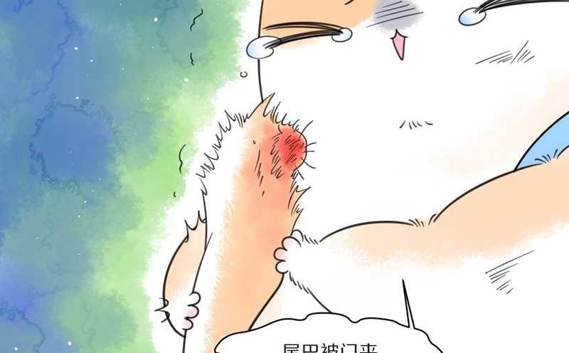 毛球星传说 第27集(1/3)-第27话