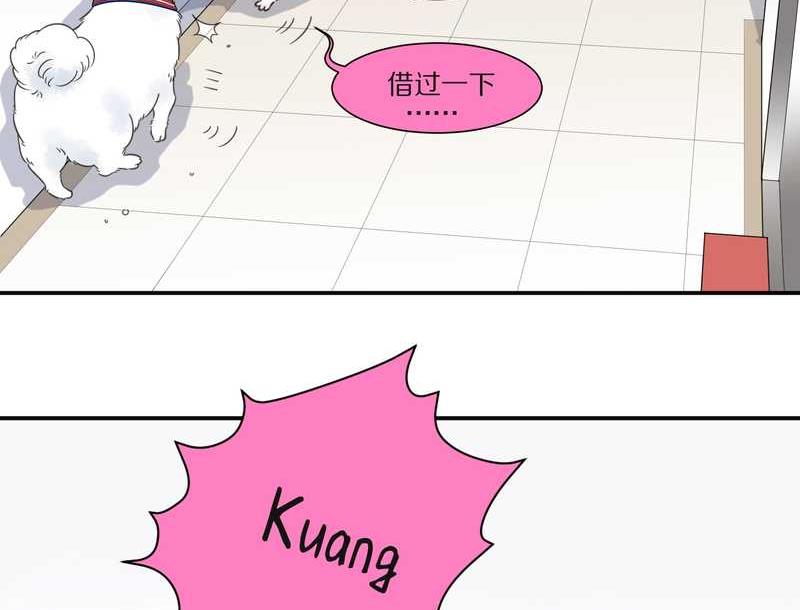 毛球星传说 第27集(1/3)-第27话