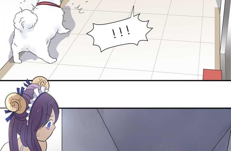 毛球星传说 第27集(1/3)-第27话