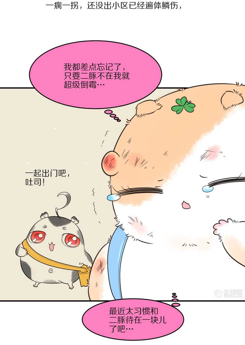 毛球星传说 第27集(1/3)-第27话