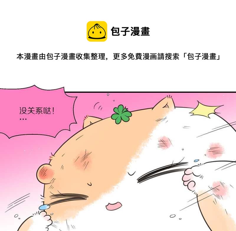 毛球星传说 第27集(1/3)-第27话