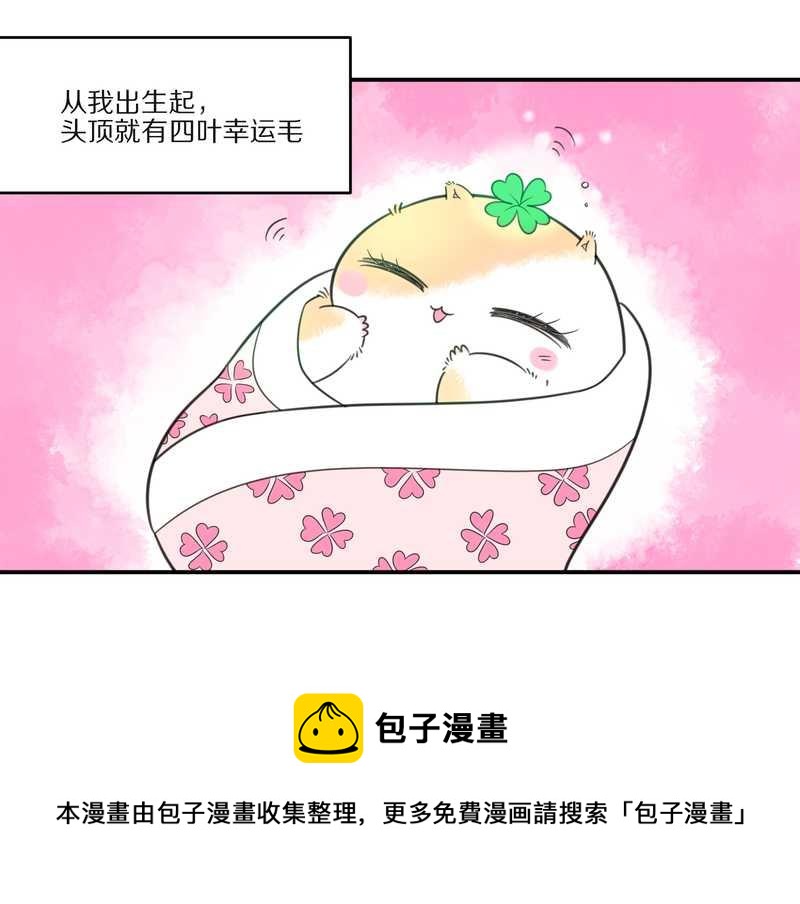 毛球星传说 第27集(1/3)-第27话