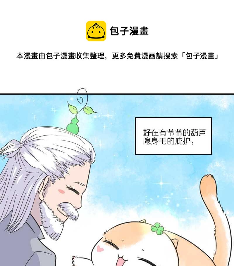 毛球星传说 第27集(1/3)-第27话