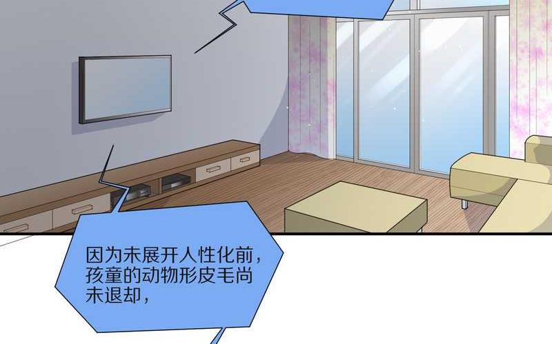 毛球星传说 第29集(1/3)-第29话