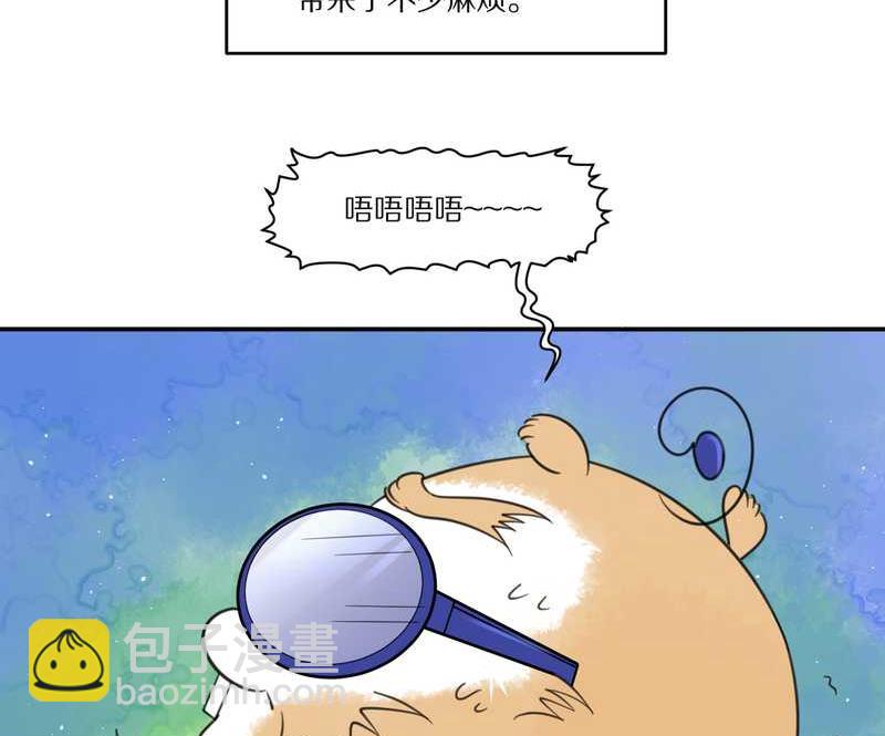 毛球星传说 第29集(1/3)-第29话