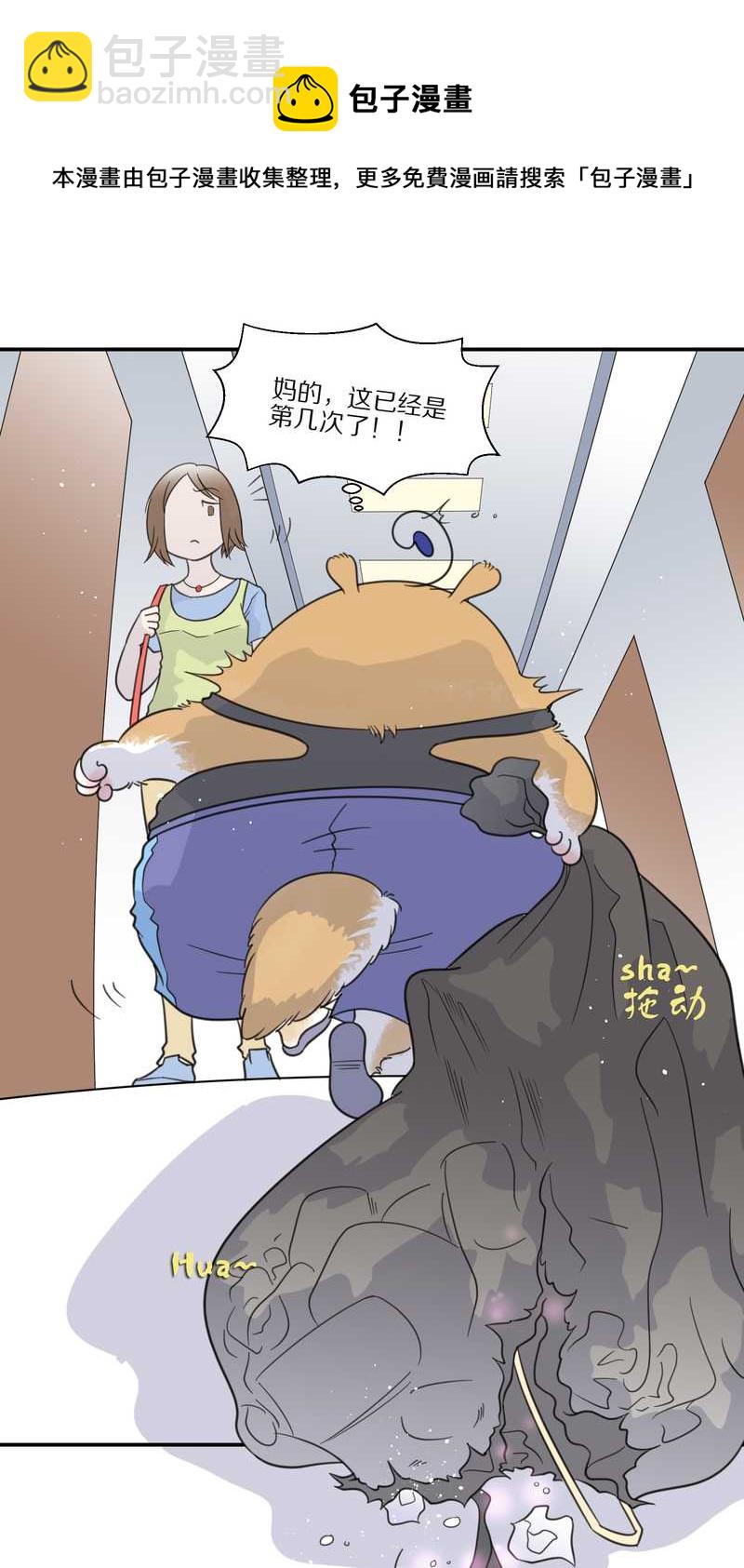 毛球星传说 第29集(1/3)-第29话