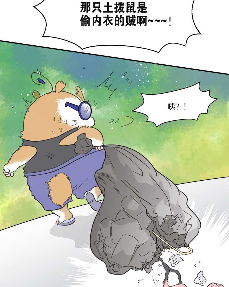 毛球星传说 第29集(1/3)-第29话