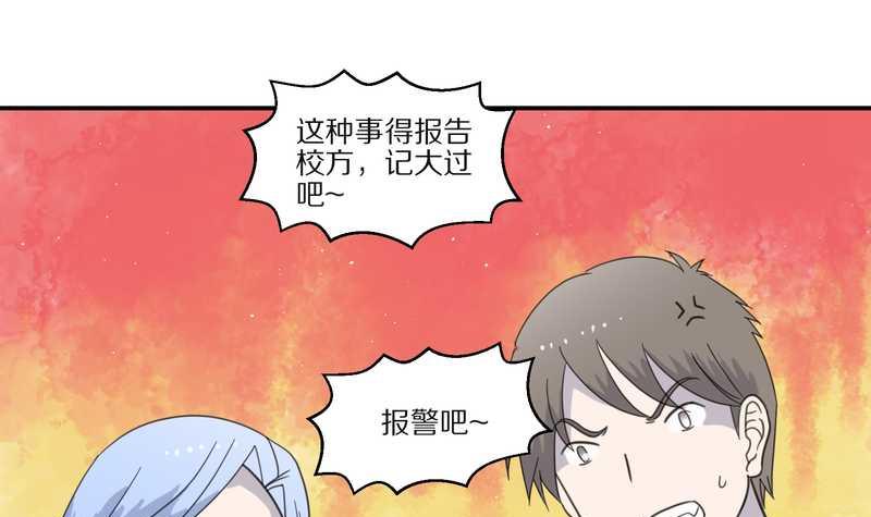 毛球星传说 第29集(1/3)-第29话