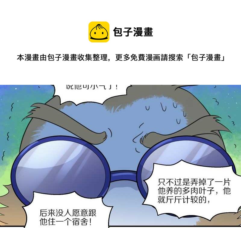 毛球星传说 第29集(1/3)-第29话